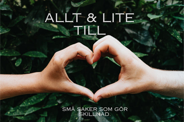 Allt & lite till
